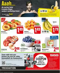 Gazetka promocyjna Edeka - Prospekte - Gazetka - ważna od 20.07 do 20.07.2024 - strona 2 - produkty: aprikose, aprikosen, banane, bananen, beere, beeren, bio, coupon, deka, elle, heidelbeere, heidelbeeren, mac, melone, melonen, Nektar, nektarinen, pfirsich, pfirsiche, plattpfirsiche, ring, rum, Schal, Schale, teller, Ti, wasser, wassermelone, wassermelonen