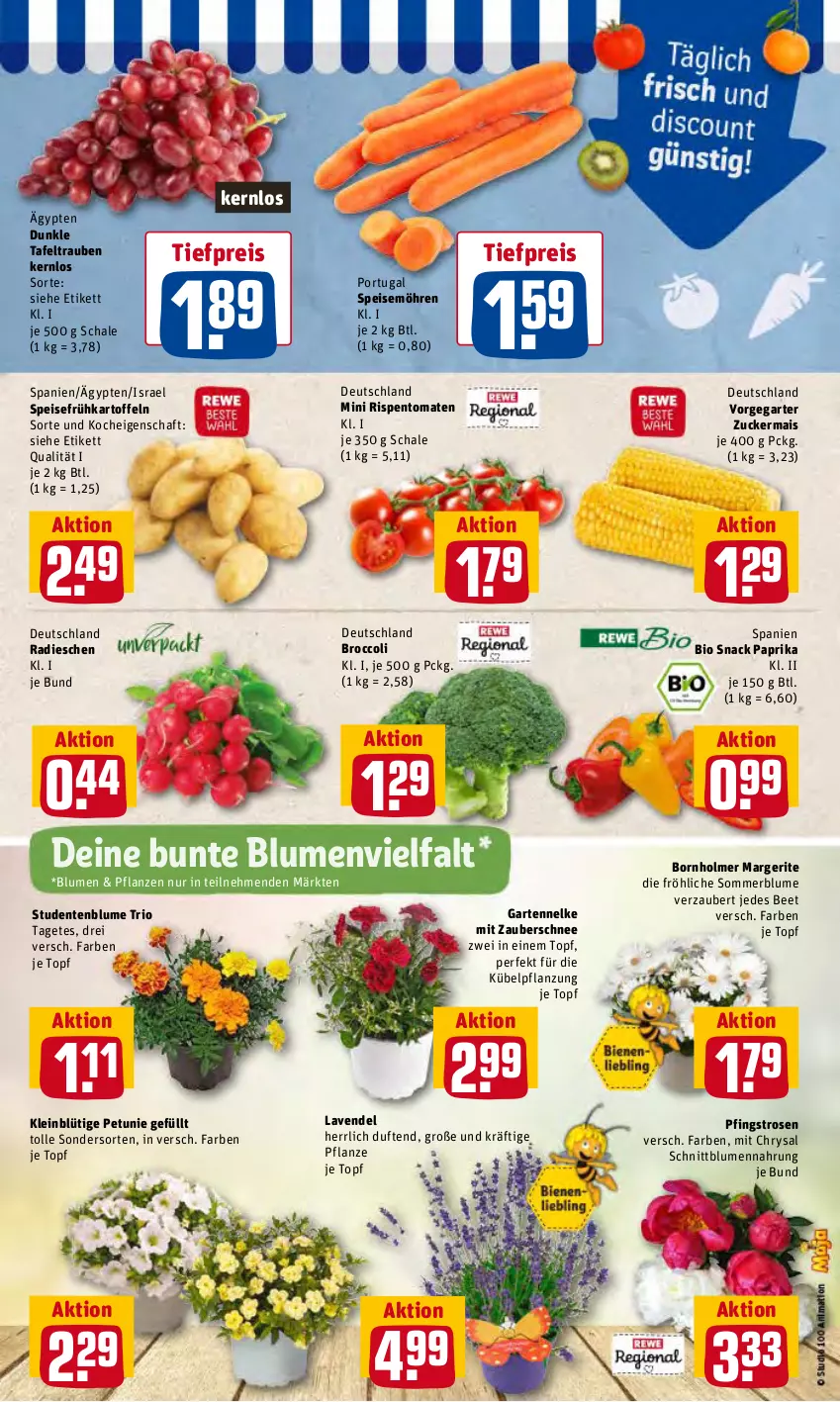 Aktueller Prospekt Rewe - REWE Ihr Kaufpark - von 13.06 bis 18.06.2022 - strona 3 - produkty: bio, blume, blumen, broccoli, eis, ente, Frühkartoffeln, Garten, gartennelke, kartoffel, kartoffeln, lavendel, mais, möhren, paprika, petunie, Pfingstrosen, pflanze, pflanzen, radieschen, reis, rispentomaten, rosen, Schal, Schale, snack, speisefrühkartoffeln, speisemöhren, tafeltrauben, Ti, tiefpreis, tomate, tomaten, topf, trauben, zucker, zuckermais