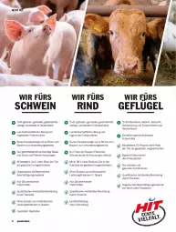 Gazetka promocyjna Hit - Prospekte - Gazetka - ważna od 30.04 do 30.04.2022 - strona 4 - produkty: auer, Bau, Bauer, bio, eis, ente, Geflügel, monitor, Ria, rind, ring, schwein, Sport, Ti, Tiere, tisch, wein, ZTE