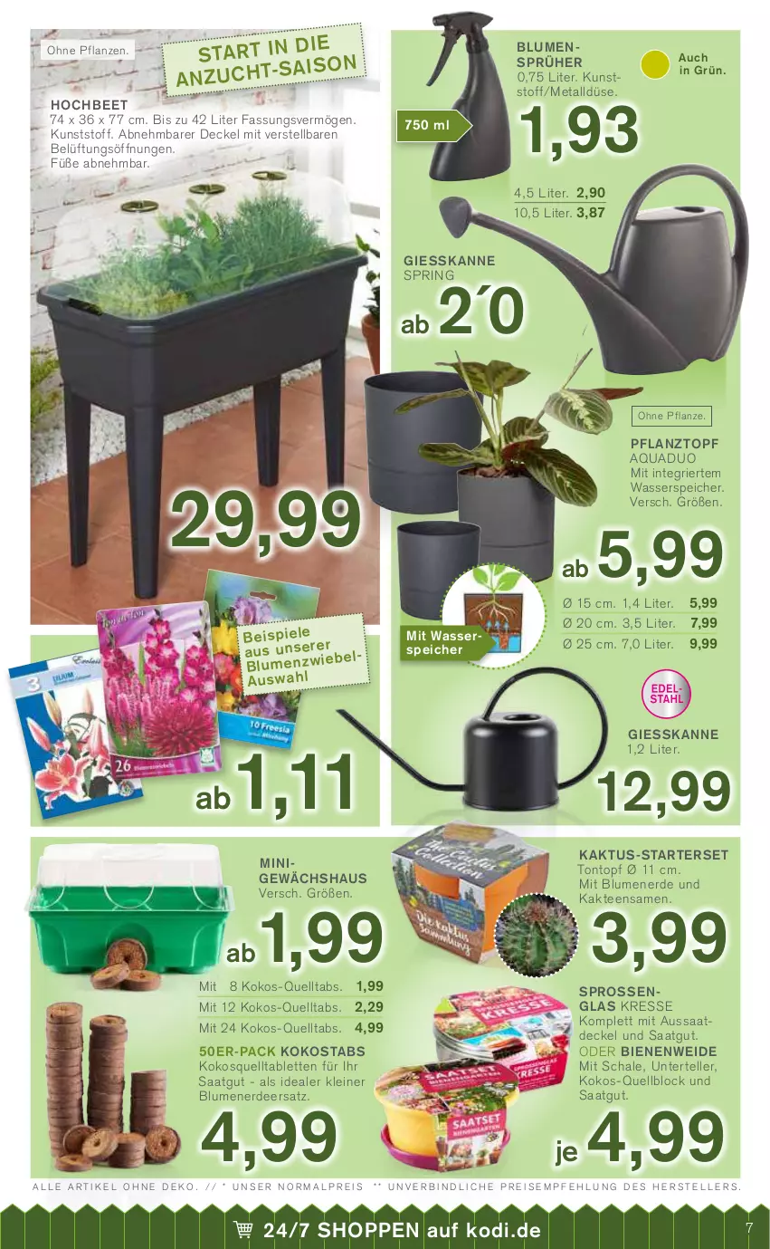 Aktueller Prospekt Kodi - Prospekte - von 05.03 bis 10.03.2022 - strona 7 - produkty: aqua, blume, blumen, decke, Deckel, eis, elle, Gewächshaus, Kaktee, kokos, leine, pflanze, pflanzen, Pflanztopf, quad, reis, ring, Schal, Schale, tee, teller, Ti, topf, wasser