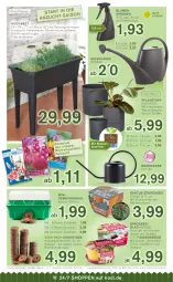 Gazetka promocyjna Kodi - Prospekte - Gazetka - ważna od 10.03 do 10.03.2022 - strona 7 - produkty: aqua, blume, blumen, decke, Deckel, eis, elle, Gewächshaus, Kaktee, kokos, leine, pflanze, pflanzen, Pflanztopf, quad, reis, ring, Schal, Schale, tee, teller, Ti, topf, wasser