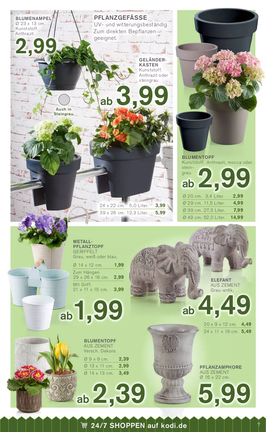 Aktueller Prospekt Kodi - Prospekte - von 19.03 bis 24.03.2022 - strona 7 - produkty: blume, blumen, Blumenampel, eis, Elefant, elle, pflanze, pflanzen, Pflanztopf, reis, teller, Ti, topf, Zement