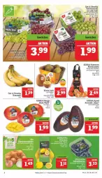 Gazetka promocyjna Marktkauf - Prospekt - Gazetka - ważna od 18.02 do 18.02.2023 - strona 8 - produkty: avocado, banane, bananen, deka, eis, ente, kiwi, mandarine, mandarinen, mango, reis, tafeltrauben, Ti, trauben, ZTE