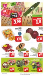 Gazetka promocyjna Marktkauf - Prospekt - Gazetka - ważna od 18.02 do 18.02.2023 - strona 9 - produkty: aktionspreis, beere, beeren, chiquita, deka, driscoll's, eis, gurke, gurken, himbeer, himbeere, himbeeren, Kraut, mini-gurken, nuss, Physalis, reis, Schal, Schale, Tasche, Ti, ZTE