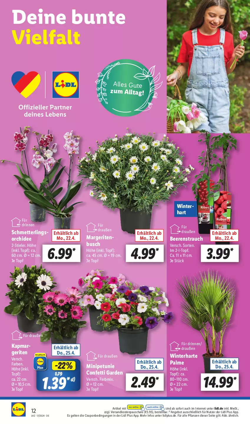 Aktueller Prospekt Lidl - Aktionsprospekt - von 22.04 bis 27.04.2024 - strona 4 - produkty: angebot, beere, beeren, coupon, Mett, ndk, orchidee, petunie, pflanze, pflanzen, Rauch, Schal, Schale, Schmetterling, Ti, topf