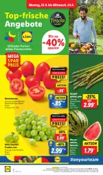 Gazetka promocyjna Lidl - Aktionsprospekt - Gazetka - ważna od 27.04 do 27.04.2024 - strona 2 - produkty: angebot, angebote, coupon, eis, elle, LG, melone, ndk, reis, Romatomaten, Schal, Schale, spargel, Ti, tomate, tomaten, trauben, wasser, wassermelone