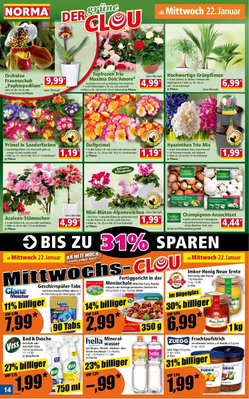 Aktueller Prospekt Norma - Norma - von 20.01 bis 27.01.2025 - strona 14 - produkty: Alpenveilchen, Alwa, aufstrich, aust, Bad, Birnen, Blüte, braun, bügel, champignon, champignons, citrus, creme, curry, decke, Deckel, dusche, erde, fertiggericht, flasche, frucht, fruchtaufstrich, geschirr, geschirrspüler, geschnetzeltes, gulasch, himbeer, honig, kirsch, kulturtopf, LG, mac, mineralwasser, orange, orchidee, paprika, pfirsich, pflanze, pflanzen, rosen, Schal, Schale, Ti, topf, übertopf, wasser, Zelt