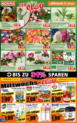 Gazetka promocyjna Norma - Norma - Gazetka - ważna od 27.01 do 27.01.2025 - strona 14 - produkty: Alpenveilchen, Alwa, aufstrich, aust, Bad, Birnen, Blüte, braun, bügel, champignon, champignons, citrus, creme, curry, decke, Deckel, dusche, erde, fertiggericht, flasche, frucht, fruchtaufstrich, geschirr, geschirrspüler, geschnetzeltes, gulasch, himbeer, honig, kirsch, kulturtopf, LG, mac, mineralwasser, orange, orchidee, paprika, pfirsich, pflanze, pflanzen, rosen, Schal, Schale, Ti, topf, übertopf, wasser, Zelt