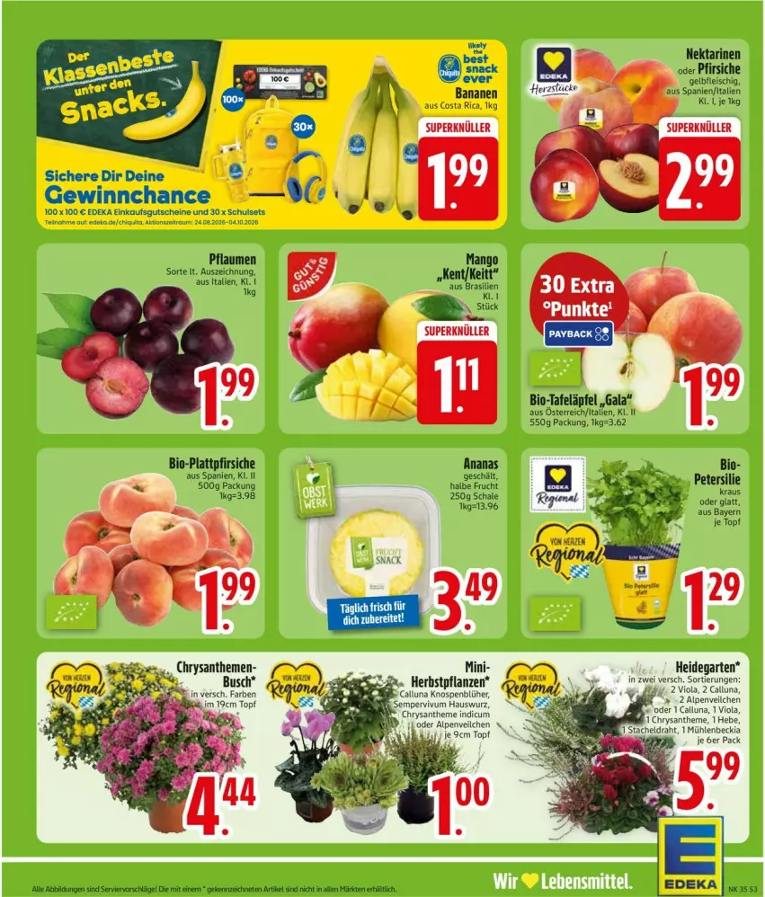 Aktueller Prospekt Edeka - Prospekte - von 24.08 bis 29.08.2026 - strona 5 - produkty: Draht, Garten, lebensmittel, pflanze, pflanzen, Ti