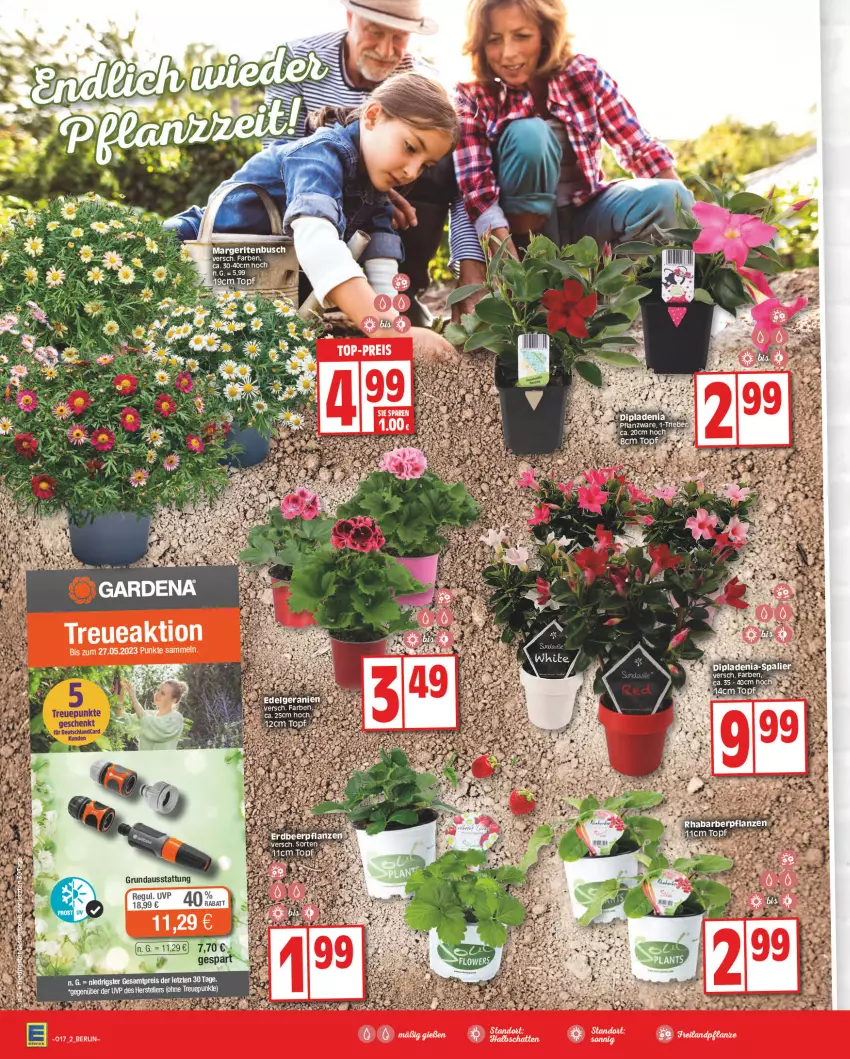 Aktueller Prospekt Edeka - Angebote der Woche - von 17.04 bis 22.04.2023 - strona 2 - produkty: dip, dipladenia, eis, elle, HP, reis, teller, Ti, ZTE