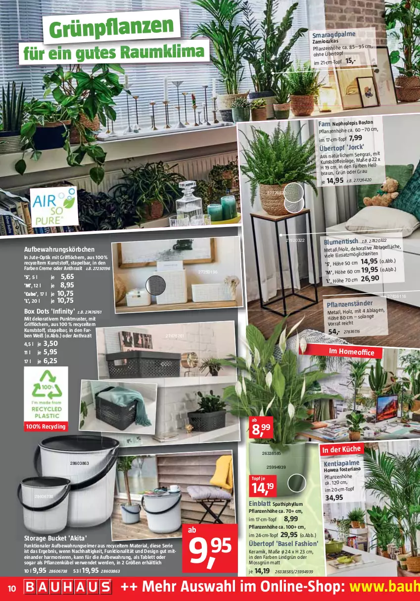 Aktueller Prospekt Bauhaus - Prospekte - von 29.01 bis 26.02.2022 - strona 10 - produkty: Bau, blume, blumen, braun, Clin, creme, eimer, erde, Grünpflanzen, Holz, Körbchen, küche, office, pflanze, pflanzen, Ria, rwe, tablet, tablett, Ti, tisch, topf, übertopf