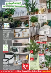 Gazetka promocyjna Bauhaus - Prospekte - Gazetka - ważna od 26.02 do 26.02.2022 - strona 10 - produkty: Bau, blume, blumen, braun, Clin, creme, eimer, erde, Grünpflanzen, Holz, Körbchen, küche, office, pflanze, pflanzen, Ria, rwe, tablet, tablett, Ti, tisch, topf, übertopf