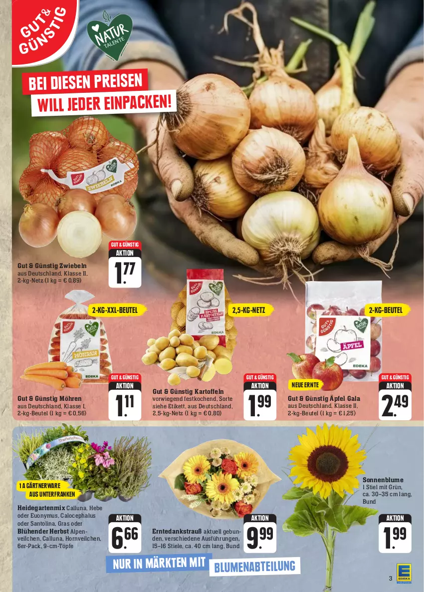 Aktueller Prospekt Edeka - Angebote der Woche - von 25.09 bis 30.09.2023 - strona 7 - produkty: Alpenveilchen, beutel, blume, blumen, eis, Garten, kartoffel, kartoffeln, möhren, sonnenblume, Ti, zwiebel, zwiebeln