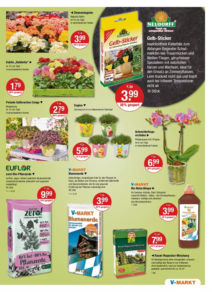 Aktueller Prospekt Vmarkt - V-Markt - von 30.06 bis 06.07.2022 - strona 19 - produkty: auer, Begonia, Begonie, bio, blume, blumen, blumenerde, calibrachoa, dahlie, dünger, ente, erde, gin, im 9-cm-topf, Insektizid, kräuter, Liege, Mett, natur, obst, orchidee, petunie, pflanze, pflanzen, pflanzerde, phalaenopsis, rasen, Schmetterling, schmetterlingsorchidee, sekt, Spaten, Spezi, Ti, topf, übertopf, usb, vita, vitalis