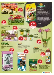 Gazetka promocyjna Vmarkt - V-Markt - Gazetka - ważna od 06.07 do 06.07.2022 - strona 19 - produkty: auer, Begonia, Begonie, bio, blume, blumen, blumenerde, calibrachoa, dahlie, dünger, ente, erde, gin, im 9-cm-topf, Insektizid, kräuter, Liege, Mett, natur, obst, orchidee, petunie, pflanze, pflanzen, pflanzerde, phalaenopsis, rasen, Schmetterling, schmetterlingsorchidee, sekt, Spaten, Spezi, Ti, topf, übertopf, usb, vita, vitalis