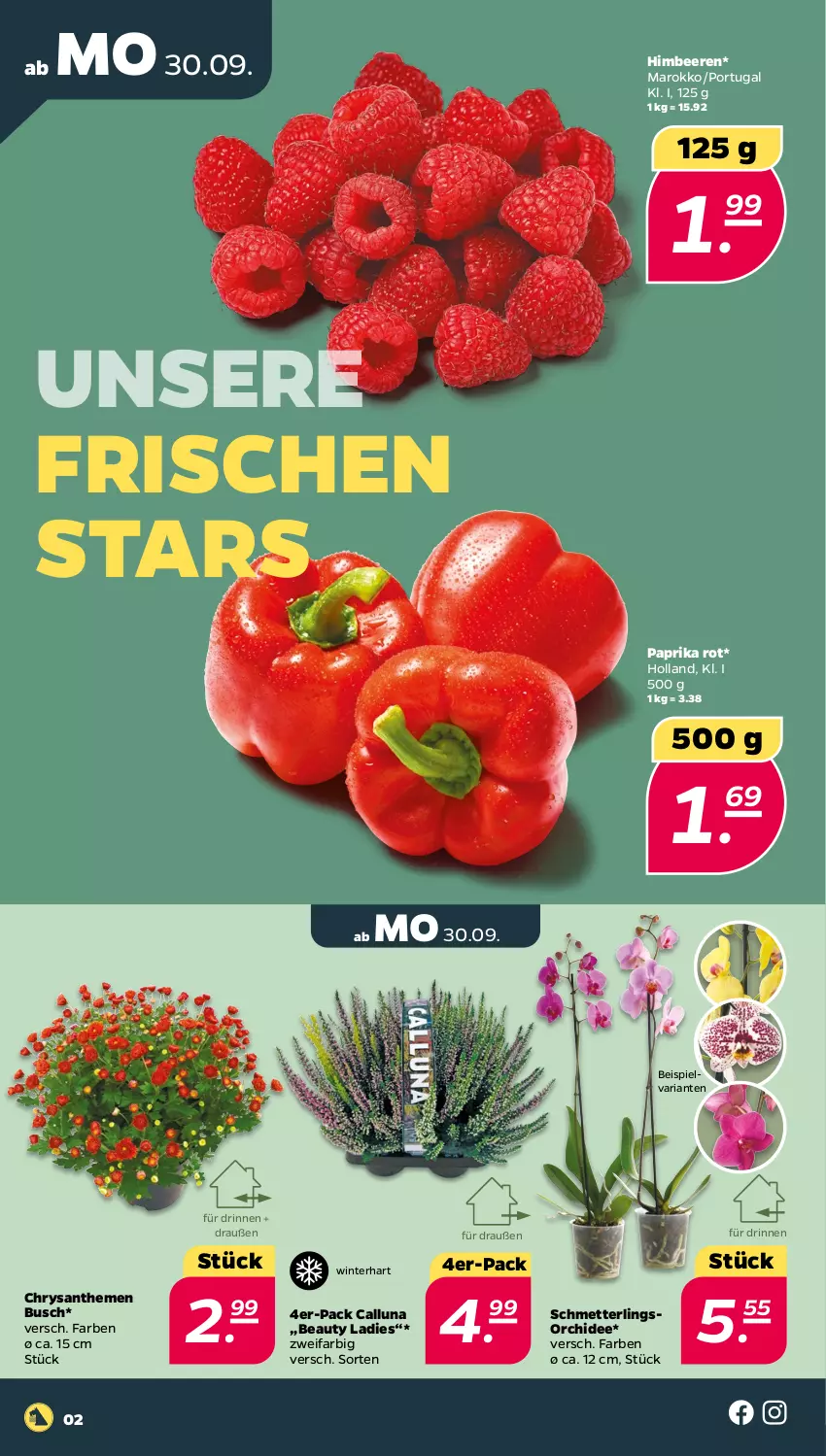 Aktueller Prospekt Netto - Woche 40 - von 30.09 bis 05.10.2024 - strona 2 - produkty: beere, beeren, chrysanthemen, eis, himbeer, himbeere, himbeeren, Mett, orchidee, paprika, paprika rot, Ria, Schmetterling, schmetterlingsorchidee