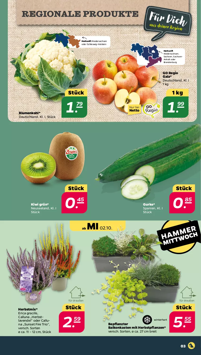 Aktueller Prospekt Netto - Woche 40 - von 30.09 bis 05.10.2024 - strona 3 - produkty: blume, blumen, blumenkohl, Brei, Elan, gurke, kiwi, lavendel, pflanze, pflanzen, sac, ZTE