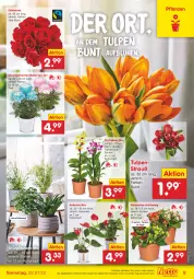 Gazetka promocyjna Netto Marken-Discount - Filial-Angebote - Gazetka - ważna od 22.01 do 22.01.2022 - strona 9 - produkty: angebot, chrysanthemen, Grünpflanzen, Kalanchoe, kulturtopf, make up, orchidee, orchideen, pflanze, pflanzen, Ria, rosen, Ti, topf, ZTE