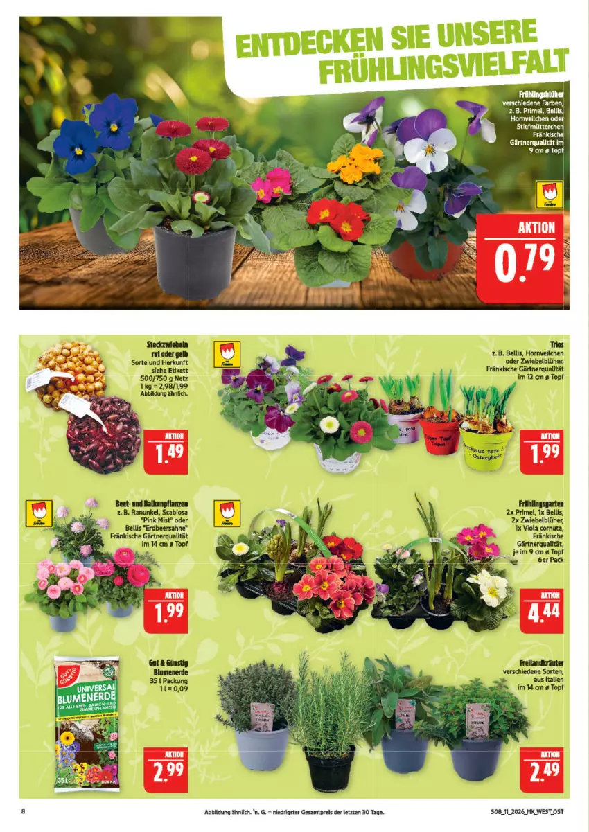 Aktueller Prospekt Marktkauf - Prospekt - von 08.03 bis 14.03.2026 - strona 8 - produkty: blume, blumen, blumenerde, eis, erde, Kraut, reis, tee, ZTE