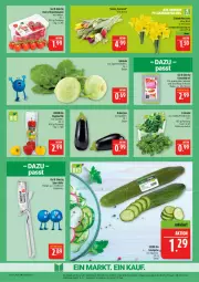 Gazetka promocyjna Marktkauf - Prospekt - Gazetka - ważna od 14.03 do 14.03.2026 - strona 7 - produkty: aubergine, bio, deka, discount, edeka bio, edelstahl, eis, feldsalat, gin, gurke, kohlrabi, Narzissen, paprika, paprika mix, reis, rispentomaten, saft, salat, Salatgurke, schneidebrett, Ti, tisch, tomate, tomaten, ZTE