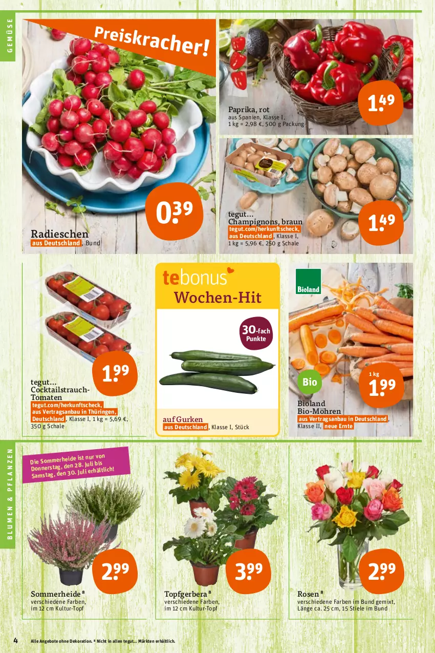 Aktueller Prospekt Tegut - Angebote der Woche - von 25.07 bis 30.07.2022 - strona 4 - produkty: angebot, angebote, Bau, bio, bioland, blume, blumen, braun, champignon, champignons, cocktail, cocktails, dekoration, Gerber, gurke, gurken, möhren, paprika, pflanze, pflanzen, radieschen, Rauch, ring, rosen, Schal, Schale, strauchtomaten, Ti, tomate, tomaten, topf