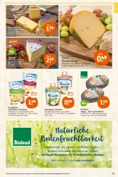 Gazetka promocyjna Tegut - Angebote der Woche - Gazetka - ważna od 30.07 do 30.07.2022 - strona 13 - produkty: almette, angebot, angebote, appenzeller, Becher, bio, Bio-Käse, bioland, camembert, dekoration, Dorfkäse, elle, emmentaler, frico, frischkäse, frischkäsezubereitung, frucht, gouda, gouda jung, hartkäse, hochland, Käse, kräuter, landkäse, landliebe, lebensmittel, Mett, ndk, Ofen, schnittkäse, Ti, tisch