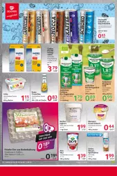 Gazetka promocyjna Selgros - Food - Gazetka - ważna od 11.09 do 11.09.2024 - strona 10 - produkty: arla, arla skyr, Becher, beere, bio, creme, dessert, ehrmann, Ehrmann Grand Dessert, eier, eimer, eis, eiskaffee, Eisschokolade, flasche, frischli, gin, hochwald, joghur, joghurt, jogurt, kaffee, lätta, milch, rama, sahne, schlagsahne, schoko, schokolade, Skyr