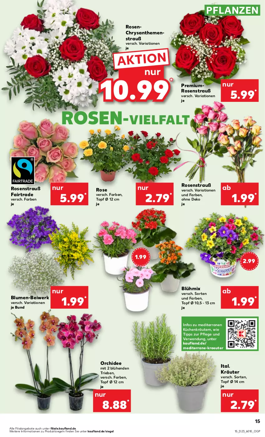 Aktueller Prospekt Kaufland - Prospekt - von 08.06 bis 14.06.2023 - strona 15 - produkty: angebot, angebote, blume, blumen, chrysanthemen, kräuter, kräutern, küche, Küchen, orchidee, pflanze, pflanzen, Ria, rosen, Rosenstrauß, rwe, Ti, topf, topf ø 12 cm