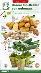 Gazetka promocyjna Penny - Prospekte - Gazetka - ważna od 02.09 do 02.09.2023 - strona 6 - produkty: bio, braun, champignon, champignons, eis, kartoffel, kartoffeln, kräuter, LG, natur, reis, Schal, Schale, Sport, Ti, topf, ZTE