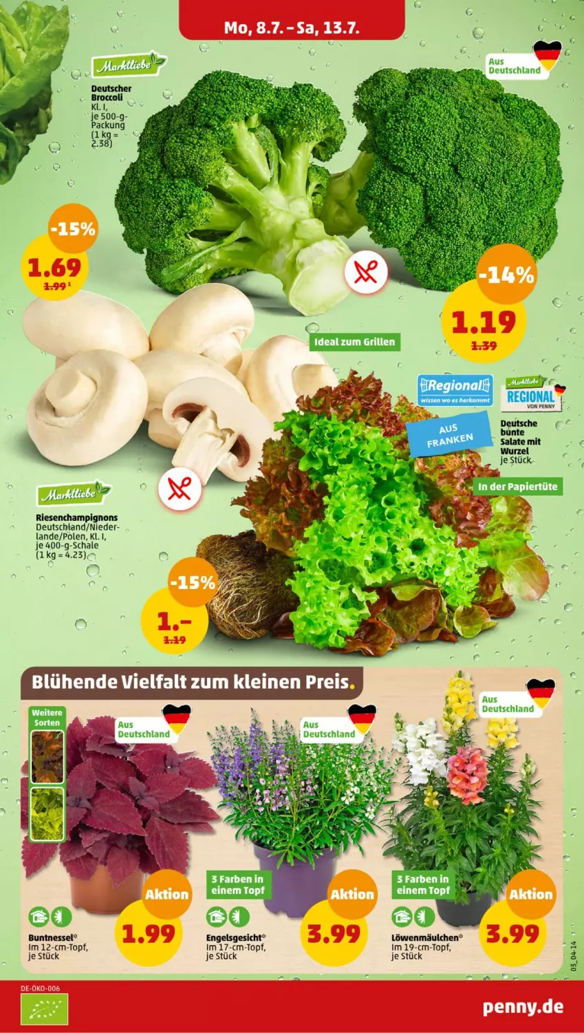 Aktueller Prospekt Penny - Prospekte - von 08.07 bis 13.07.2024 - strona 3 - produkty: broccoli, bunte salate, champignon, champignons, Engel, salat, salate, Schal, Schale, topf