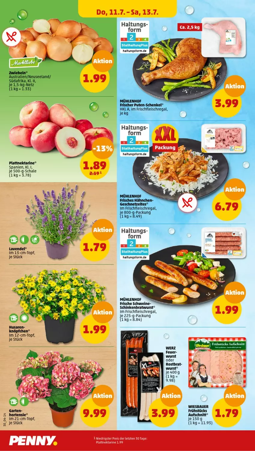 Aktueller Prospekt Penny - Prospekte - von 08.07 bis 13.07.2024 - strona 30 - produkty: auer, aufschnitt, aust, Bau, Bauer, bratwurst, eis, Elan, fleisch, geschnetzeltes, henkel, hortensie, lavendel, Nektar, pute, regal, reis, Schal, Schale, schenkel, schinken, schwein, schweine, topf, wein, weine, wiesbauer, wurst, Zelt, ZTE, zwiebel, zwiebeln