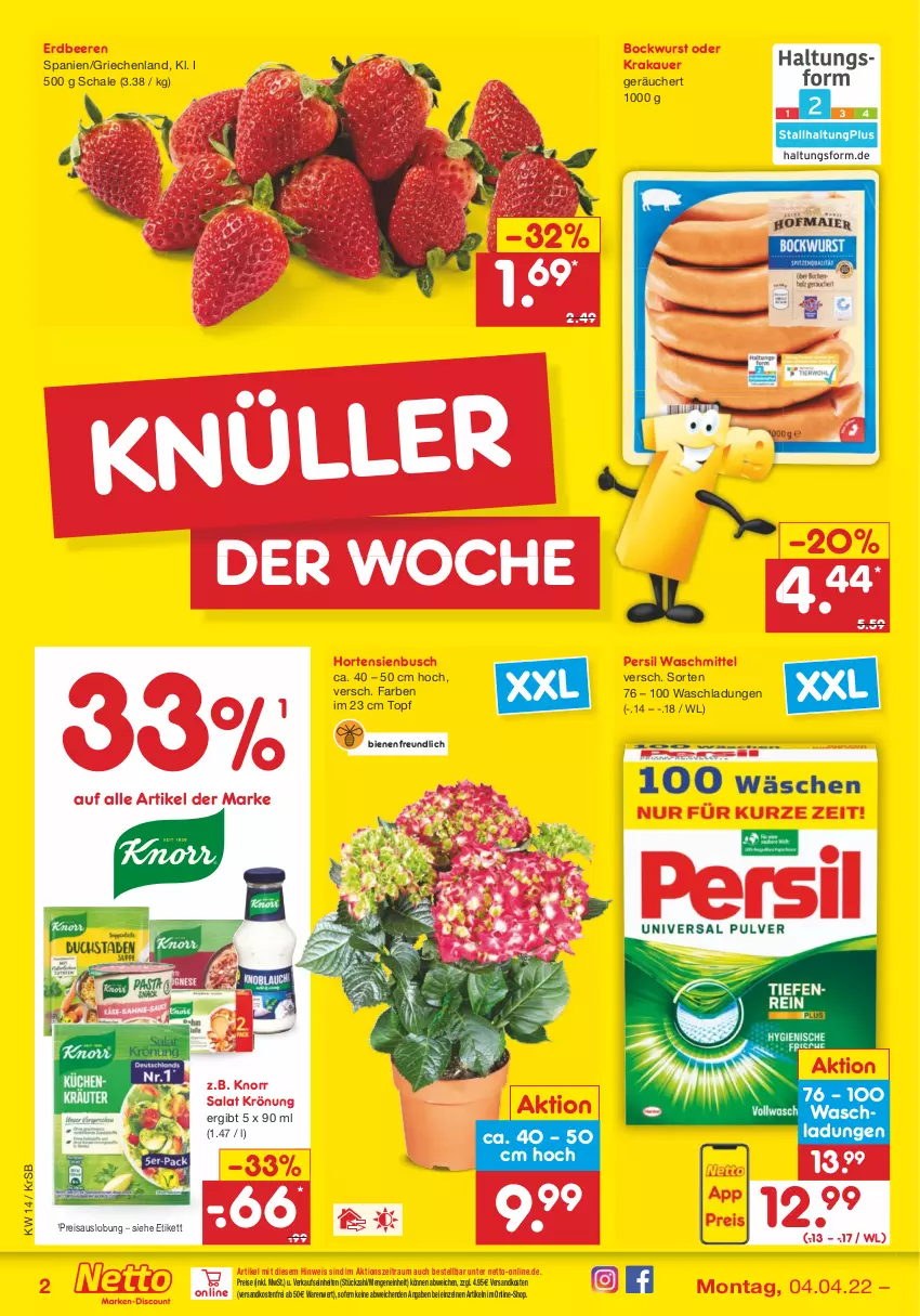 Aktueller Prospekt Netto Marken-Discount - Filial-Angebote - von 04.04 bis 09.04.2022 - strona 2 - produkty: auer, beere, beeren, bockwurst, eis, erdbeere, erdbeeren, hortensie, hortensien, knorr, krakauer, ndk, persil, persil waschmittel, reis, salat, Schal, Schale, Ti, topf, versandkostenfrei, waschmittel, wurst