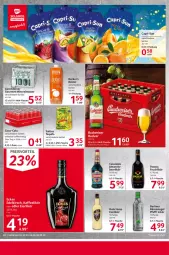 Gazetka promocyjna Selgros - Food - Gazetka - ważna od 08.02 do 08.02.2023 - strona 26 - produkty: Alwa, berliner, Cap, capri-sun, cassis, coca-cola, cola, eier, eierlikör, eis, flasche, gerolsteine, gerolsteiner, Hula Hoop, likör, mineralwasser, mw-flasche, passo, preisvorteil, reis, steiner, tee, tequila, Ti, wasser
