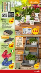 Gazetka promocyjna Penny - Prospekte - Gazetka - ważna od 07.05 do 07.05.2022 - strona 31 - produkty: blume, blumen, Cien, Clogs, fenster, Garten, Holz, thermometer, Ti, uhr