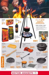 Gazetka promocyjna Selgros - Grillsaison - Gazetka - ważna od 17.04 do 17.04.2024 - strona 9 - produkty: anzünder, briketts, decke, Deckel, edelstahl, eintopf, eis, feuerschale, filet, fisch, Glühwein, grill, grillrost, handschuhe, Holz, holzkohle, lachs, lack, lamm, LG, Löffel, maille, messer, pfanne, reiniger, reis, Ria, ring, Schal, Schale, schuhe, Ti, topf, wein, würfel