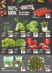 Gazetka promocyjna E Center - Angebote der Woche - Gazetka - ważna od 16.07 do 16.07.2022 - strona 3 - produkty: beere, beeren, beutel, blume, blumen, chia, Garten, gurke, gurken, johannisbeere, Johannisbeeren, kohlrabi, kopfsalat, kräuter, mini-rispentomaten, rispentomaten, salat, salatherzen, Schal, Schale, snack, sonnenblume, sonnenblumen, Stachelbeeren, Ti, tomate, tomaten, Wild