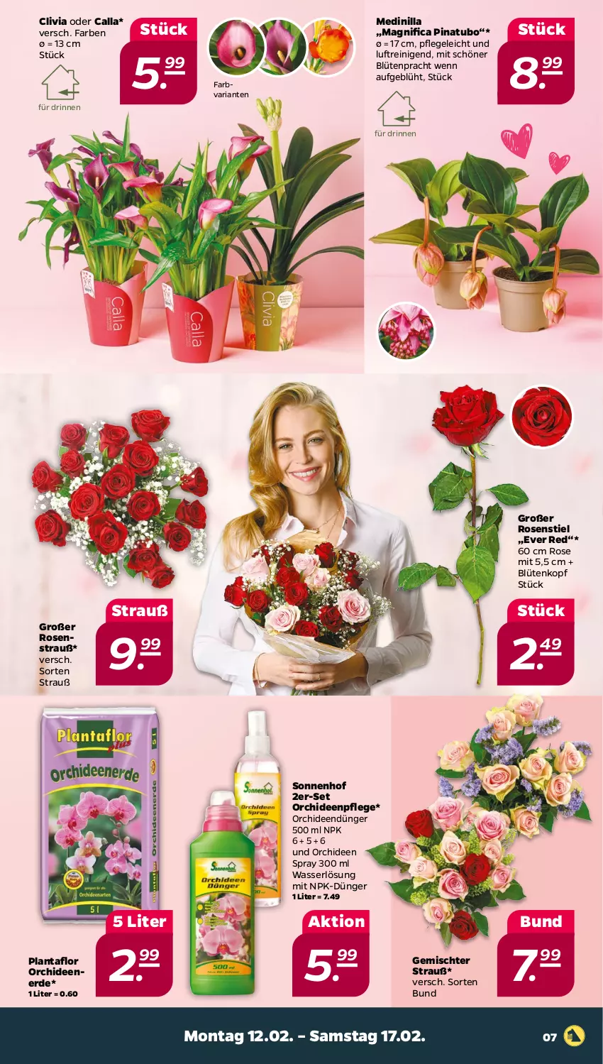 Aktueller Prospekt Netto - Woche 7 - von 12.02 bis 17.02.2024 - strona 7 - produkty: Blüte, dünger, erde, orchidee, orchideen, Orchideenerde, Ria, rosen, Rosenstrauß, Ti, wasser