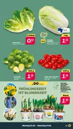 Gazetka promocyjna Netto - Woche 7 - Gazetka - ważna od 17.02 do 17.02.2024 - strona 3 - produkty: blume, blumen, cherrytomaten, Narzissen, rosen, Rosenkohl, sac, tomate, tomaten, trauben