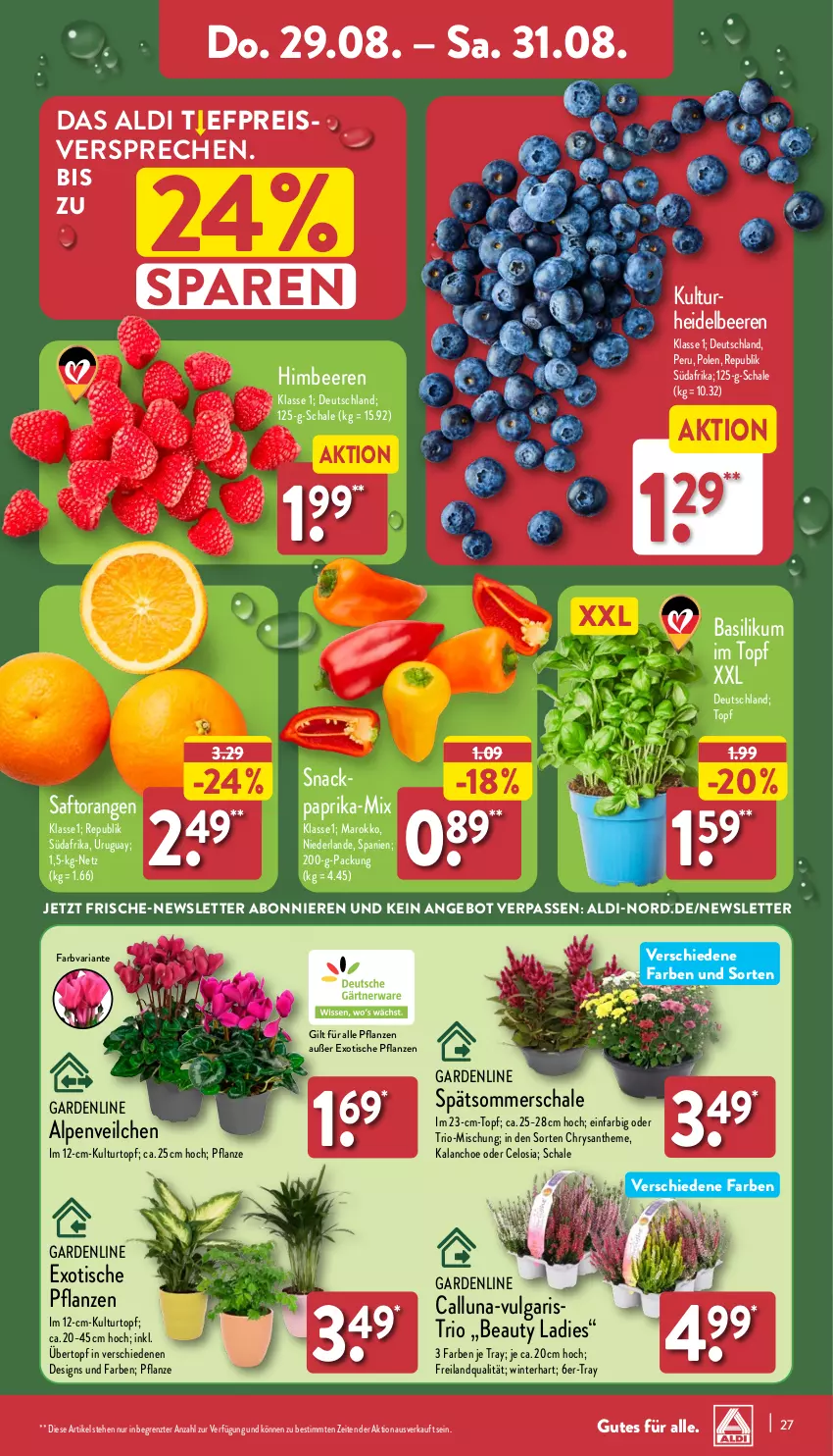 Aktueller Prospekt Aldi Nord - Von Montag - von 26.08 bis 31.08.2024 - strona 27 - produkty: aldi, Alpenveilchen, angebot, basilikum, beere, beeren, Blüte, Brei, eis, heidelbeere, heidelbeeren, himbeer, himbeere, himbeeren, Kalanchoe, kulturtopf, LG, orange, orangen, paprika, pflanze, pflanzen, reis, Ria, saft, Saftorangen, Schal, Schale, snack, Ti, tisch, topf, übertopf, ZTE