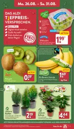 Gazetka promocyjna Aldi Nord - Von Montag - Gazetka - ważna od 31.08 do 31.08.2024 - strona 3 - produkty: aldi, angebot, auer, banane, bananen, Bau, Bauer, bio, bio-bananen, Blüte, Brei, eis, Elan, kiwi, Konifere, kulturtopf, pflanze, reis, Ria, Schal, Schale, tafeltrauben, Ti, topf, trauben, trolli, Tüte, ZTE, zucker