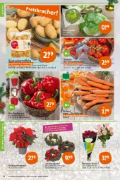 Gazetka promocyjna Tegut - Angebote der Woche - Gazetka - ważna od 19.11 do 19.11.2022 - strona 8 - produkty: Adventskranz, angebot, angebote, Bau, bio, Bio-Paprika, bioland, blume, blumen, dekoration, eis, eisbergsalat, kartoffel, kartoffeln, Kranz, messer, möhren, paprika, pflanze, pflanzen, Rauch, ring, rosen, sac, salat, Schal, Schale, speisekartoffeln, strauchtomaten, Ti, tomate, tomaten, topf, Weihnachtsstern