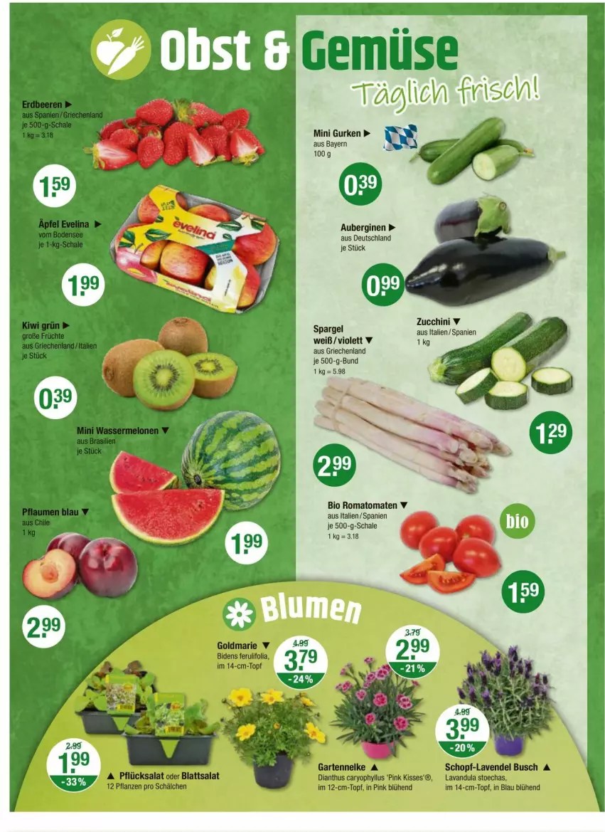 Aktueller Prospekt Vmarkt - Prospekte - von 11.04 bis 17.04.2024 - strona 4 - produkty: aubergine, auberginen, bio, gin, gurke, gurken, Romatomaten, Schal, Schale, spargel, tomate, tomaten