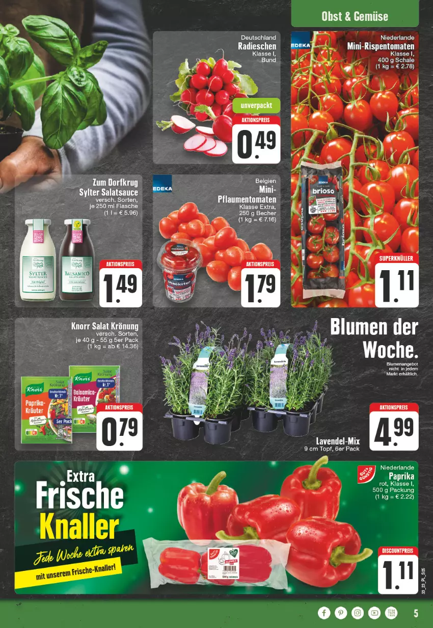 Aktueller Prospekt E Center - Angebote der Woche - von 07.08 bis 12.08.2023 - strona 5 - produkty: aktionspreis, angebot, blume, blumen, discount, eis, ente, flasche, knorr, lavendel, mini-rispentomaten, paprika, pflaume, pflaumen, radieschen, reis, rispentomaten, salat, salatsauce, sauce, Schal, Schale, Sylter, Ti, tomate, tomaten, topf, Zum Dorfkrug