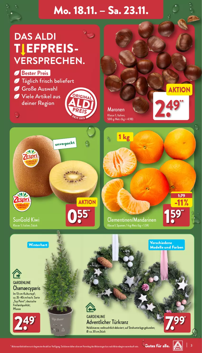 Aktueller Prospekt Aldi Nord - Von Montag - von 18.11 bis 23.11.2024 - strona 3 - produkty: aldi, Blüte, Brei, clementinen, dell, eis, elle, gin, hama, kiwi, Kranz, kulturtopf, mandarine, mandarinen, Mode, pflanze, reis, Ti, topf, Türkranz, ZTE