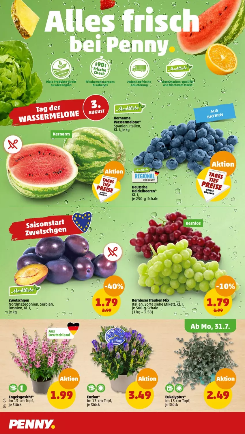 Aktueller Prospekt Penny - Prospekte - von 31.07 bis 05.08.2023 - strona 4 - produkty: beere, beeren, Engel, heidelbeere, heidelbeeren, melone, Schal, Schale, Ti, topf, trauben, wasser, wassermelone