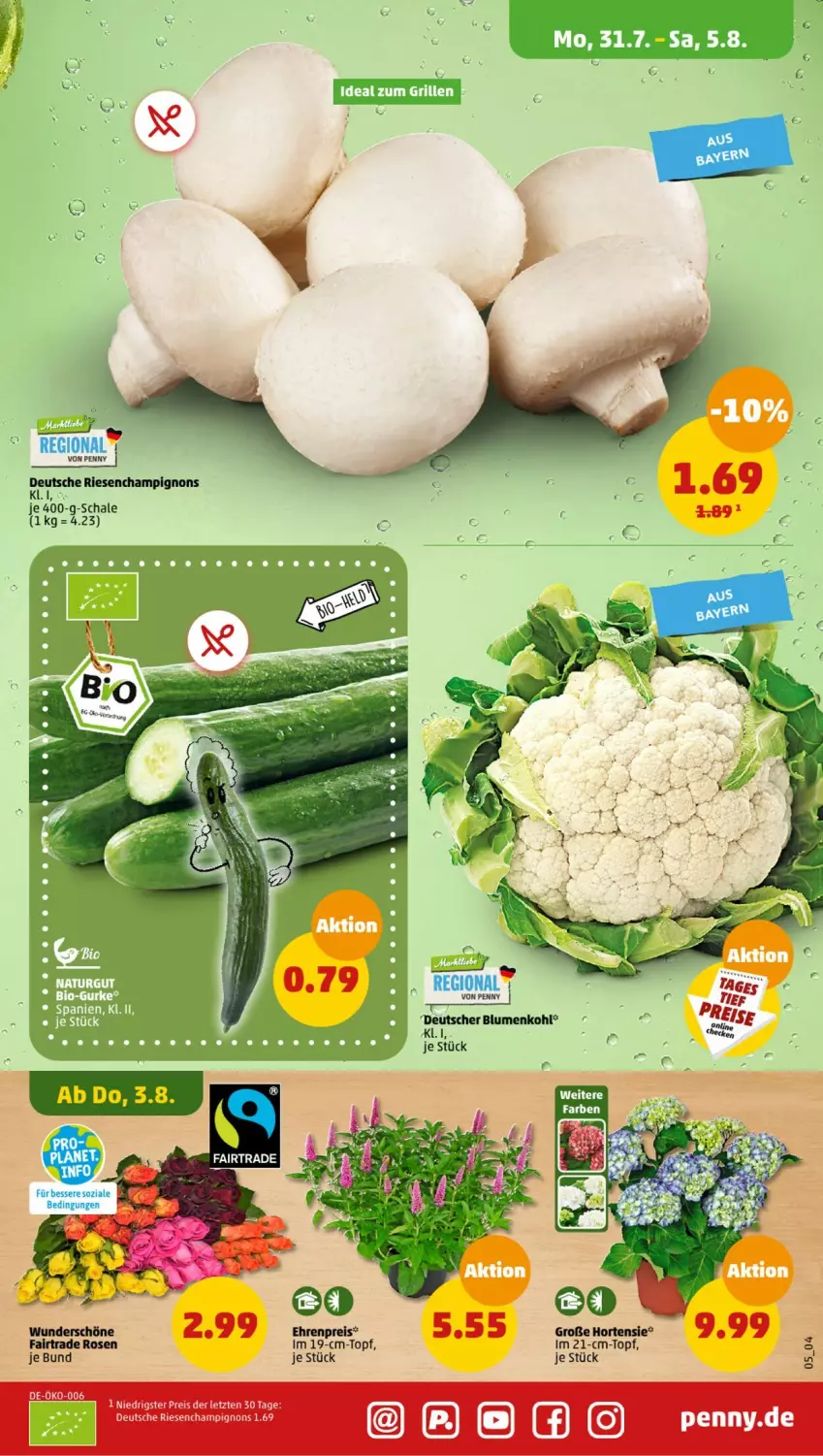 Aktueller Prospekt Penny - Prospekte - von 31.07 bis 05.08.2023 - strona 5 - produkty: blume, blumen, blumenkohl, champignon, champignons, eis, hortensie, reis, rosen, Schal, Schale, topf, ZTE