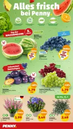 Gazetka promocyjna Penny - Prospekte - Gazetka - ważna od 05.08 do 05.08.2023 - strona 4 - produkty: beere, beeren, Engel, heidelbeere, heidelbeeren, melone, Schal, Schale, Ti, topf, trauben, wasser, wassermelone