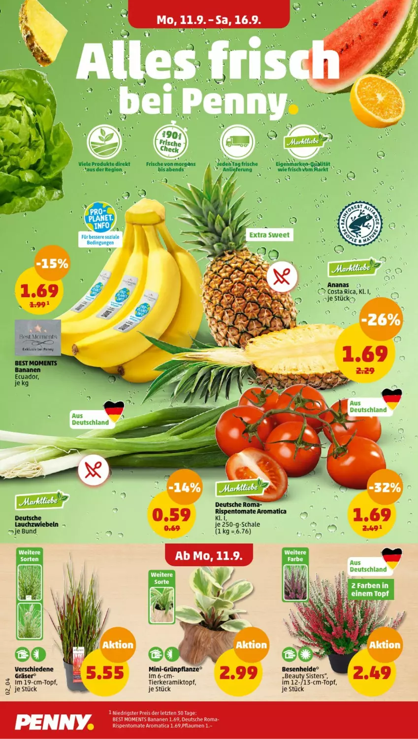 Aktueller Prospekt Penny - Prospekte - von 11.09 bis 16.09.2023 - strona 2 - produkty: ananas, banane, bananen, eis, pflanze, pflaume, pflaumen, reis, Schal, Schale, Ti, tomate, topf, ZTE