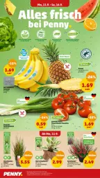 Gazetka promocyjna Penny - Prospekte - Gazetka - ważna od 16.09 do 16.09.2023 - strona 2 - produkty: ananas, banane, bananen, eis, pflanze, pflaume, pflaumen, reis, Schal, Schale, Ti, tomate, topf, ZTE