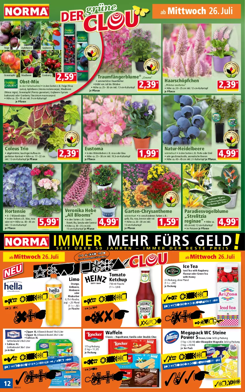 Aktueller Prospekt Norma - Norma - von 24.07 bis 31.07.2023 - strona 12 - produkty: ACC, apfel, auer, Bau, beere, beeren, beutel, blume, Blüte, cin, cranberry, Elan, erdbeere, Ficus, flasche, Garten, gefrierbeutel, gin, grana, granatapfel, green tea, heidelbeere, himbeer, himbeere, hortensie, ice tea, ketchup, kulturtopf, limo, mac, merl, natur, nuk, obst, orange, pflanze, pflanzen, punica, Rana, raspberry, rel, rhabarber, Ria, rum, saro, Ti, tisch, tomato ketchup, topf, waffeln, weck, zipper